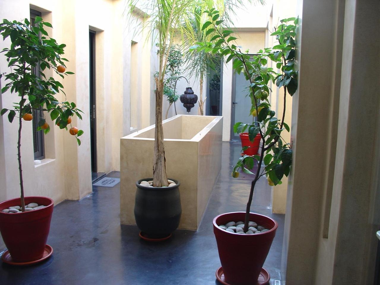 Riad La Villa & Spa الجديدة المظهر الخارجي الصورة