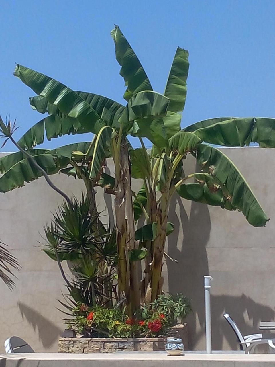 Riad La Villa & Spa الجديدة المظهر الخارجي الصورة